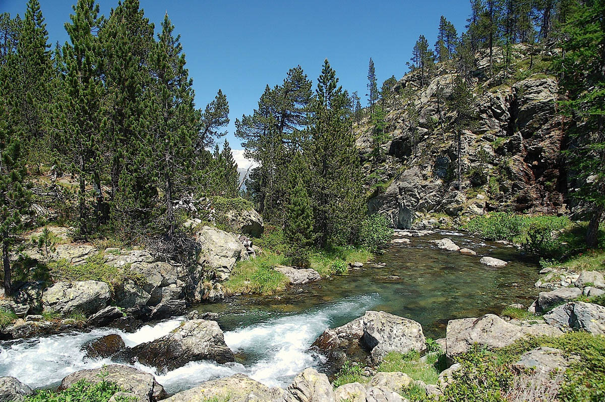Hotel Crampon - Courmayeur d'estate